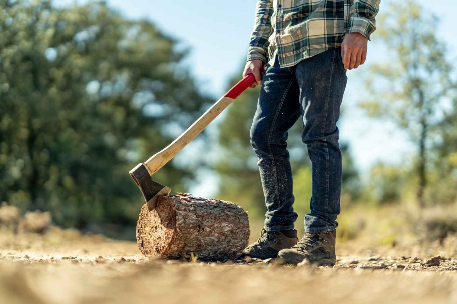 Best Emergency Storm Tree Removal  in Energy, IL